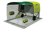 Image of Eglu Cube with 2m Run