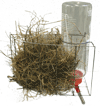 Image of free chicken guide