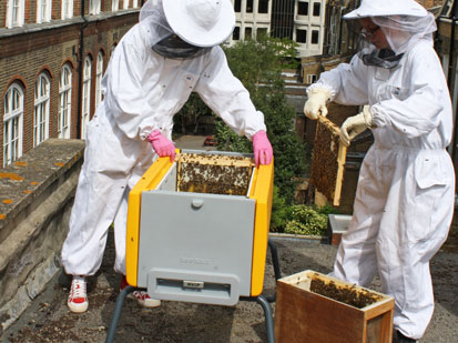 Photo of two Beekeepers putting frames into the Beehaus