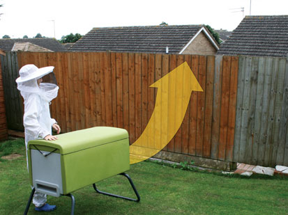 Photo of the ideal position of a hive 
