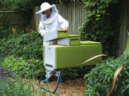 Photo of a Beekeeper lifting a super off the top of the Beehaus.