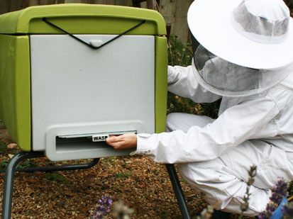 Photo of a Beekeeper lifting a super off the top of the Beehaus.