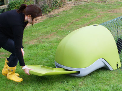 Image of the Eglu's dropping tray being removed.