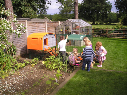 Chickens are a fascinating addition to your garden..