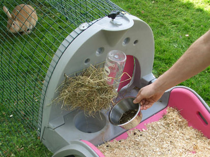 Image of chickens using the feeder and drinker