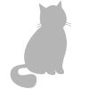 American Bobtail (Langhaarig)