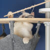 Weiße katze spielt mit fisch spielzeug in der Omlet Freestyle boden bis zur decke kratzbaum hängematte