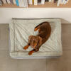Dackel in draufsicht auf Omlet Topology hundebett mit gestepptem topper
