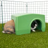 Zippi schutzraum kaninchen grün