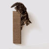 Katze kratzt an einem an der wand befestigten kratzbaum aus pappe