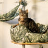Katze in einem nestbett auf einer kratzbaumplattform für den innenbereich
