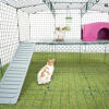 Omlet Zippi kaninchenlaufstall mit Zippi plattformen, Caddi leckerbissenhalter, lila Zippi unterstand und zwei kaninchen