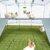 Omlet Zippi kaninchenlaufstall mit Zippi plattformen, Caddi leckerlihalter und kaninchen