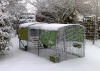 Grün Eglu Cube und im garten laufen, bedeckt mit Snow