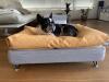 Cooles Bett