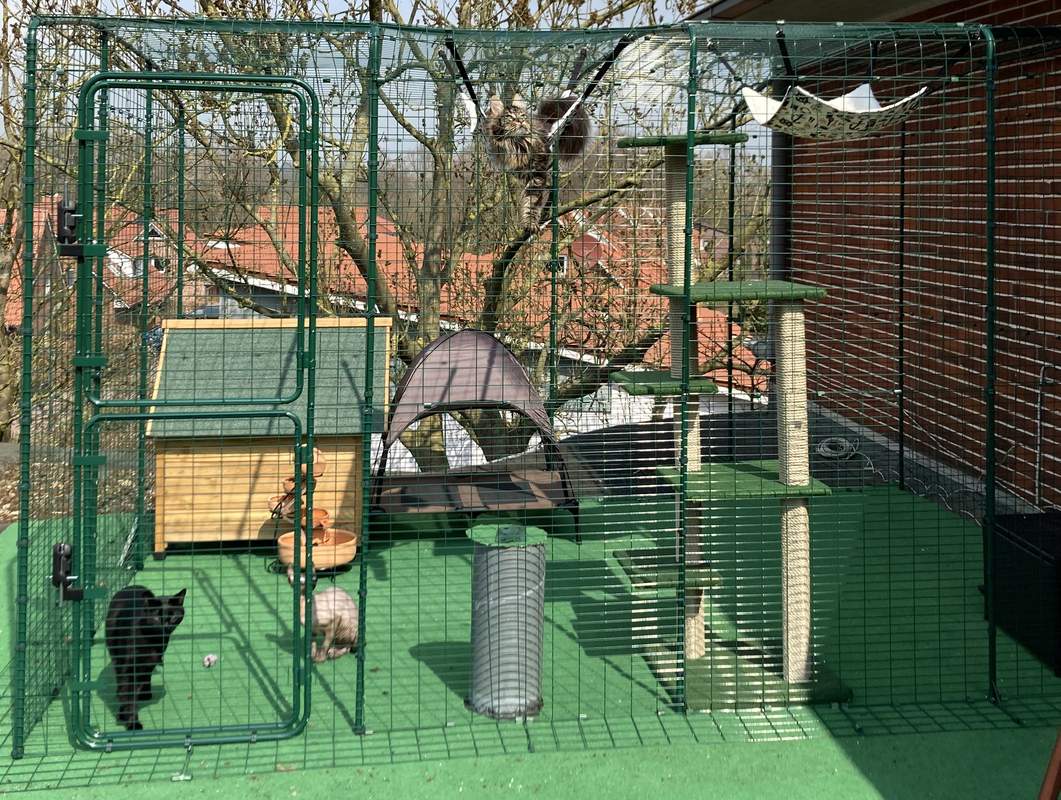 Outdoor Katzengehege Katzen Omlet