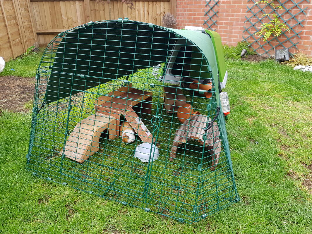 Meerschweinchenstall mit Gehege für zwei bis drei Meerschweinchen.
