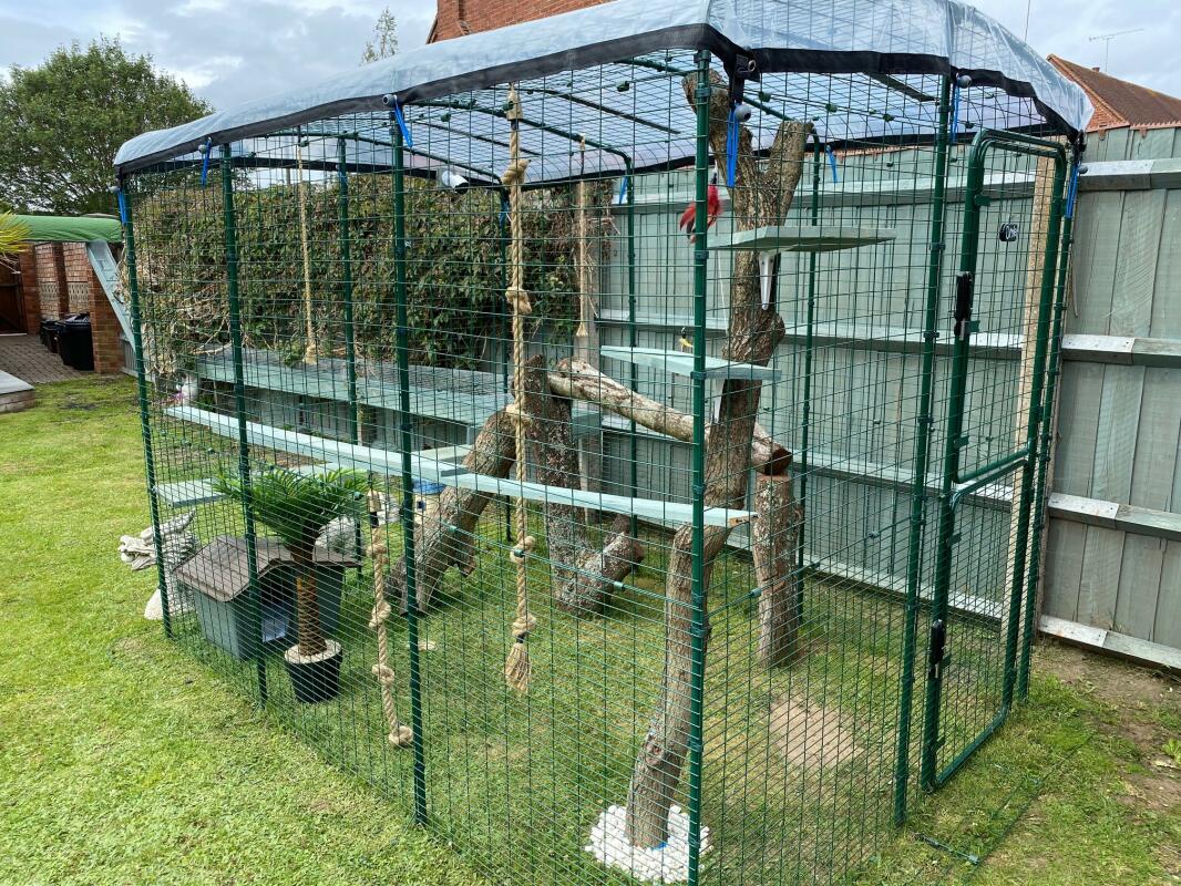 Outdoor Katzengehege Katzen Omlet