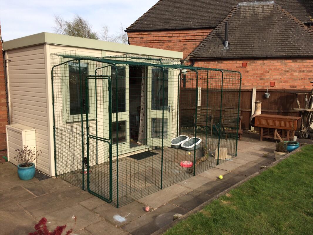 Outdoor Katzengehege | Katzen | Omlet