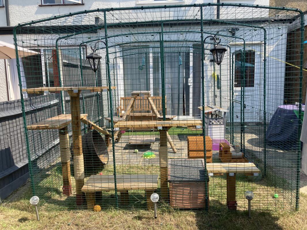 Outdoor Katzengehege Katzen Omlet