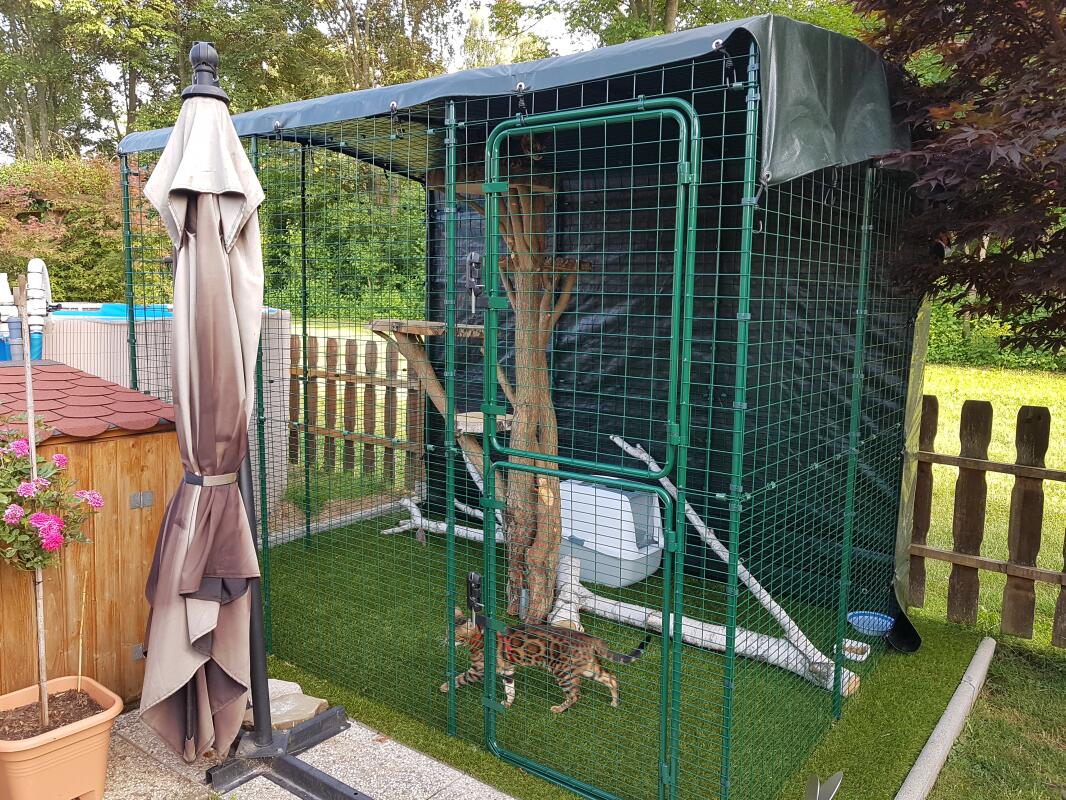Outdoor Katzengehege Katzen Omlet