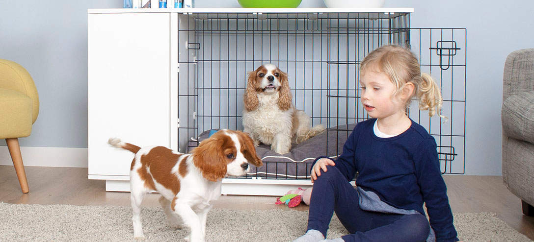 Einen Welpen An Die Hundebox Gewohnen Hundetraining Mittels Hundebox Hunde Handbuch Omlet De