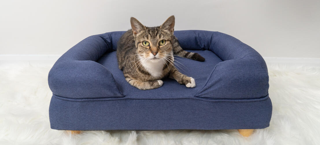 Süße Katze liegt auf auf einem Memory Foam Katzensofa in Mitternachtsblau mit runden Holzfüßen
