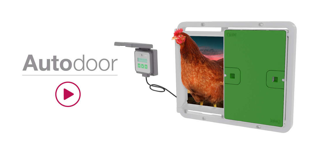 Autodoor, die Automatische Hühnerstalltür von Omlet