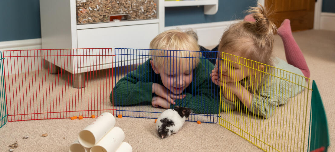 Zwei Kinder schauen ihrem Hamster in seinem Laufstall zu.