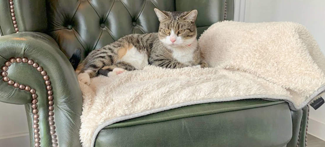 Ihre Katze wird es es lieben, sich auf dieser superweichen Decke für ein langes Nachmittagsschläfchen niederzulassen.