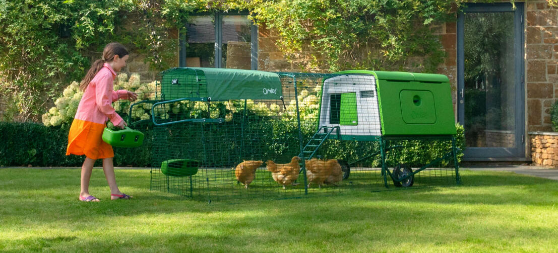 Ein junges Mädchen füttert Hühner in einem grünen Cube Hühnerstall mit Auslauf und Abdeckplane