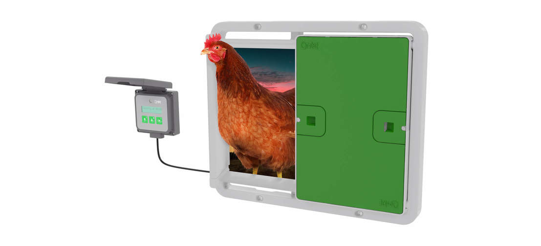 Die automatische Hühnerstalltür von Omlet