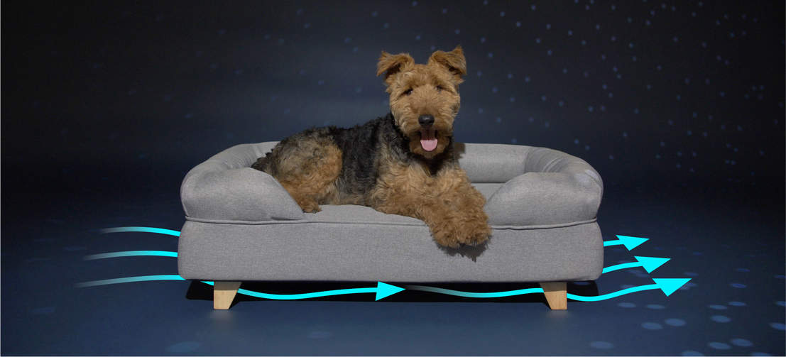 Ein Hund liegt auf dem Omlet Memory-Foam-Hundesofa in Grau mit quadratischen Holzfüßen
