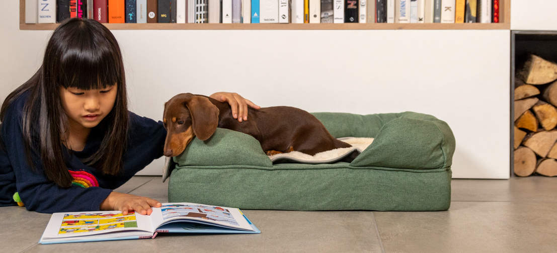 Ein Hund erforscht das Buch eines Mädchens, während er auf dem salbeigrünen Memory-Foam-Hundesofa liegt