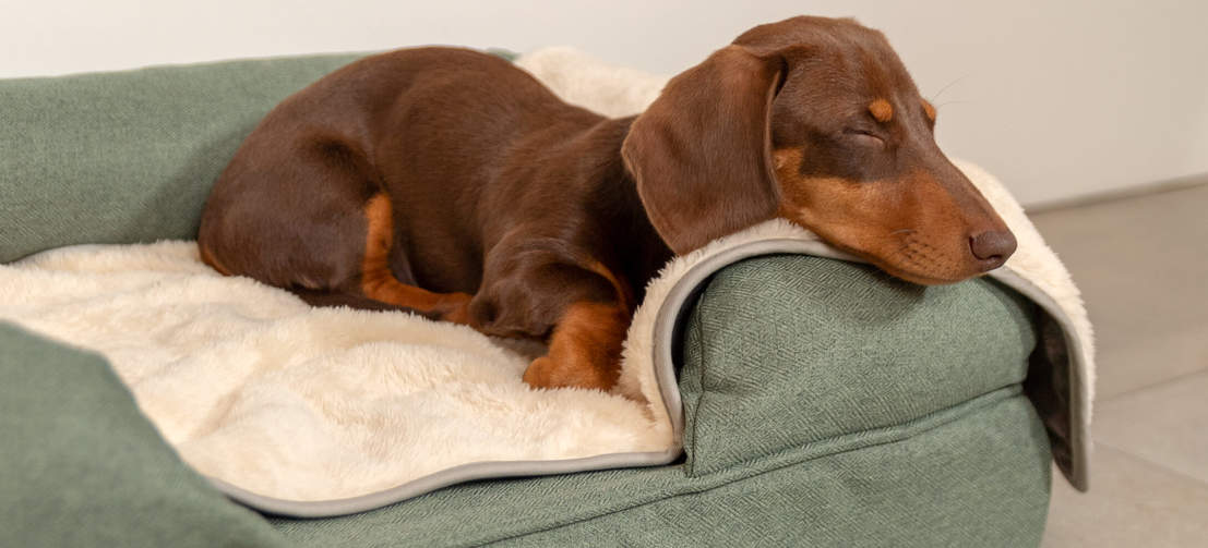 Mit der superweichen Hundedecke wird Ihr Hund entspannt und tief schlafen.