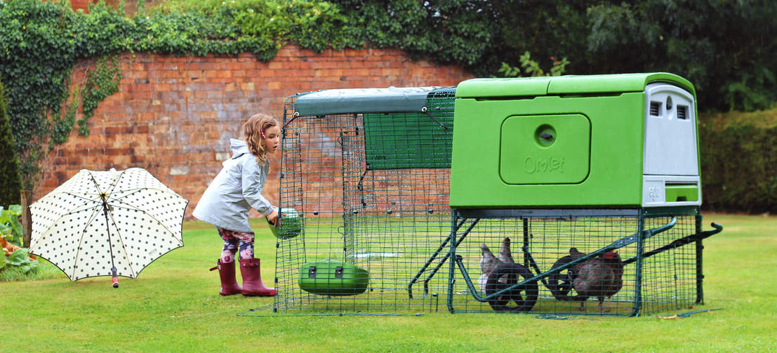 Ein Mädchen füttert im Garten ihre Hühner in ihrem Eglu Cube Hühnerstall mit Auslauf