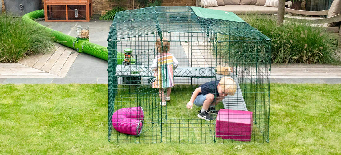 Zippi-Plattformen bieten Spaß für die ganze Familie und eine neue Möglichkeit für alle, mit ihren Meerschweinchen zu spielen und Zeit zu verbringen.