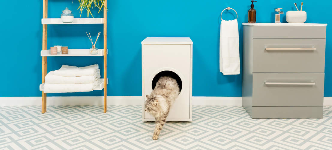 Katze klettert aus Omlet Maya katzentoilettenmöbel