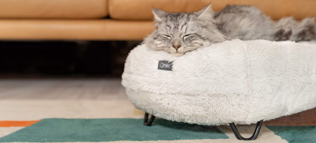 Eine Katze schläft auf dem weichen, luxuriösen Maya Donut Katzenbett in Schneeballweiß mit schwarzen Haarnadelfüßen aus Metall