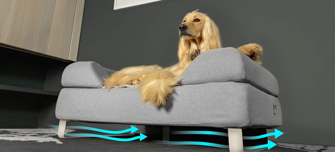 Das Anheben des Bettes mit individuell angepassten Füßen verbessert den Luftstrom und die Hygiene und ist somit die ideale Lösung für einen glücklicheren und gesünderen Hund.
