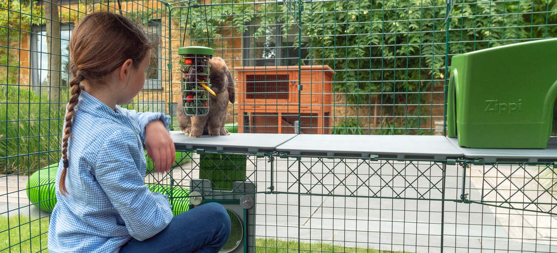 Zippi Plattformen bieten Kindern eine neue Möglichkeit mit ihren Haustieren Zeit zu verbringen und sie besser kennenzulernen.