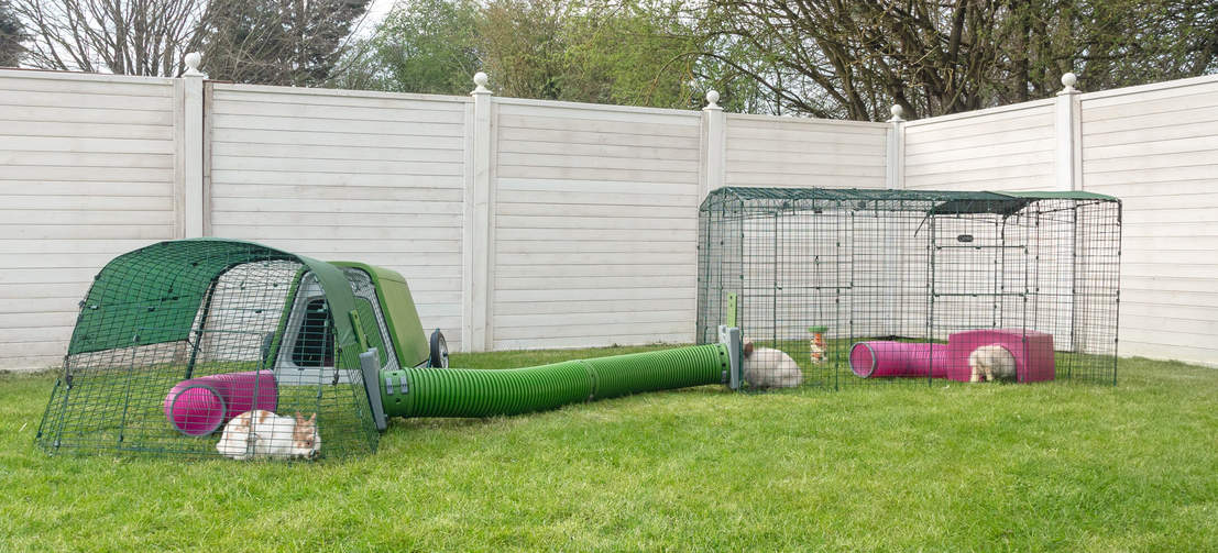 Sie können sowohl die Breite als auch die Länge Ihres Zippi Kaninchen Auslaufs erweitern, um auf diese Weise Ihren optimalen Kaninchenspielplatz zu schaffen!