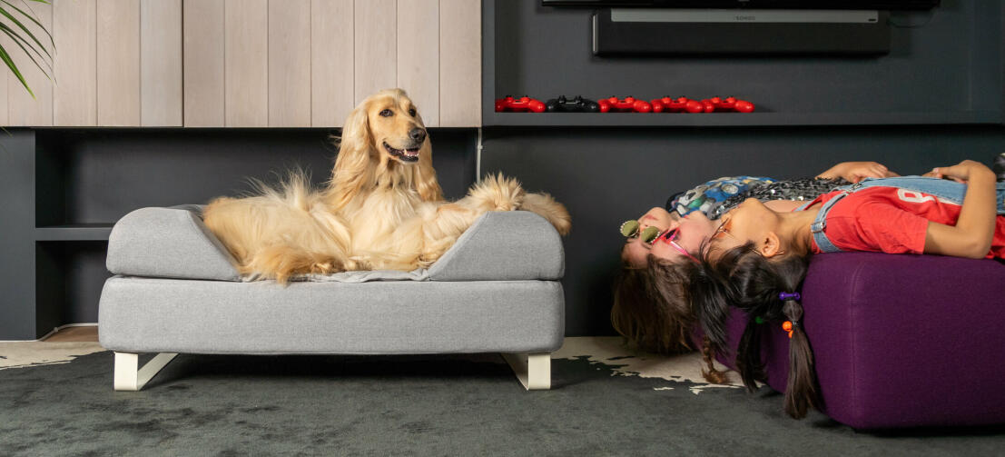 Ein Hund liegt auf dem Omlet Topology Hundebett mit Polster-Topper und weißen Kufenfüßen und auf dem Kopf liegende Mädchen