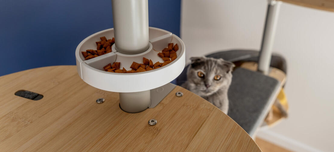 Katze schaut auf Freestyle boden bis zur decke kratzbaum leckerbissen schüssel