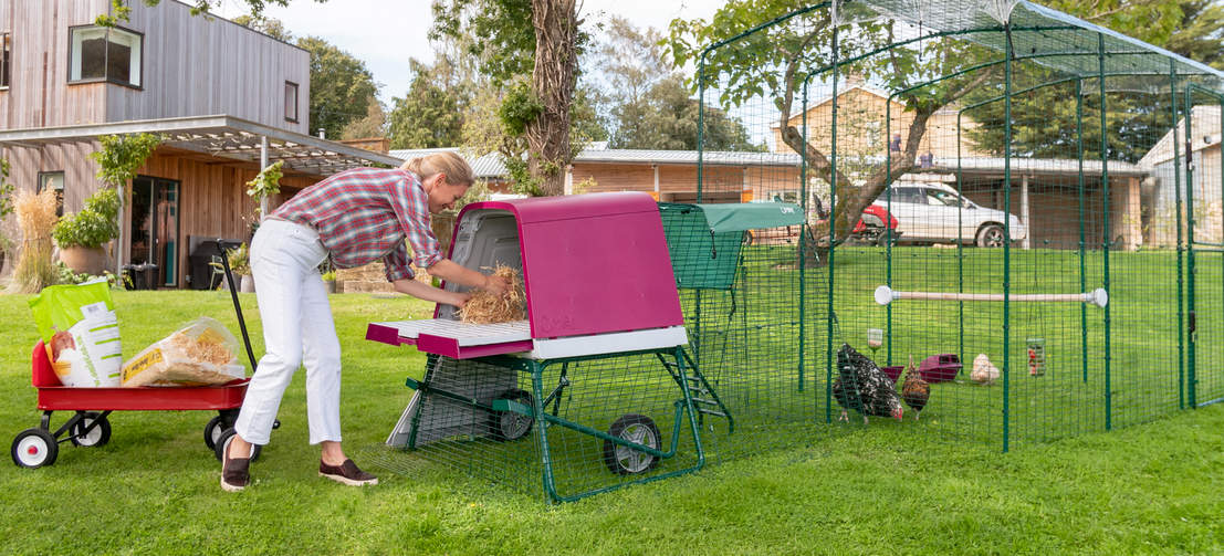 Die Höhe des Eglu Go UP-Hühnerstalls ist für Hühnerhalter praktisch, und Ihre Hennen werden es lieben, vom Boden abgehoben zu schlafen.