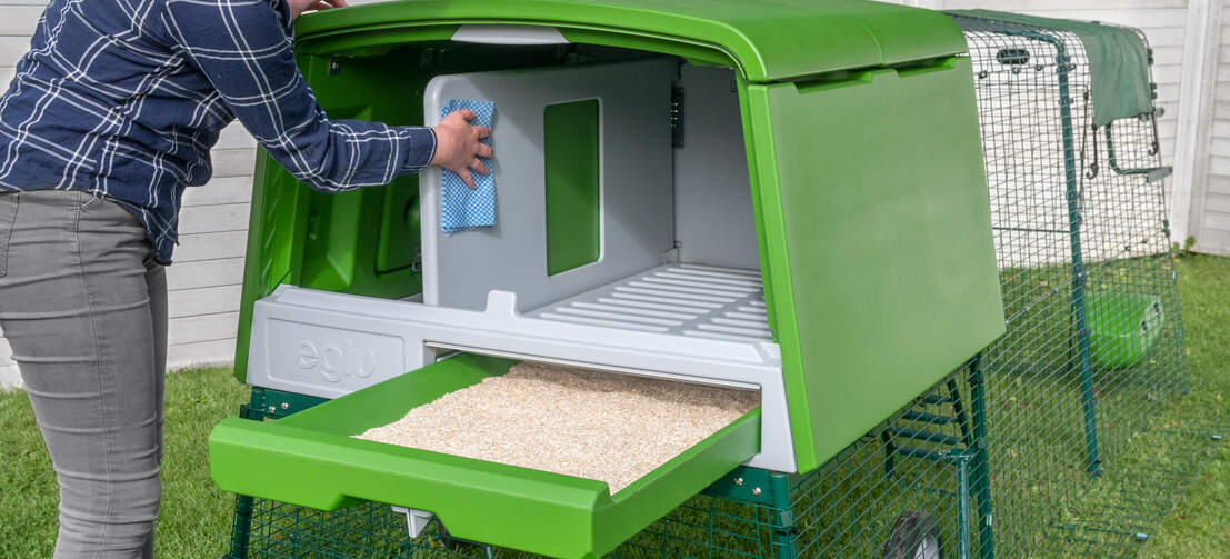 Die Reinigung des Innenbereichs eines grünen Eglu Cube Hühnerstalls mit Auslauf
