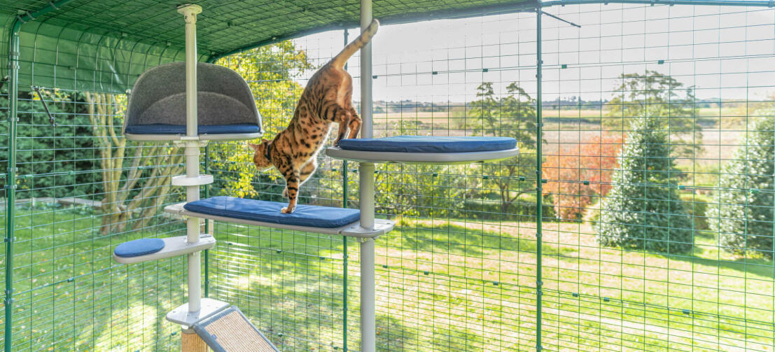 Eine katze, die in ihrem hohen grauen kratzbaum spielt, eine perfekte möglichkeit, ihren katzen einen sicheren platz im freien zu bieten, den sie erkunden können