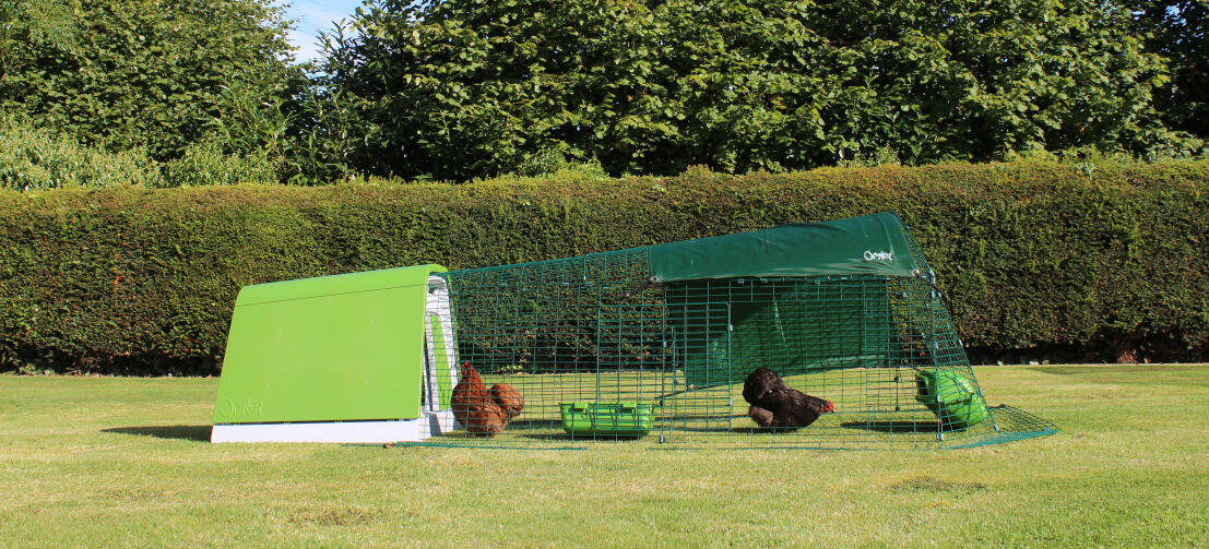 Ein Eglu Go hühnerstall mit auslauf im garten mit zwei hühnern