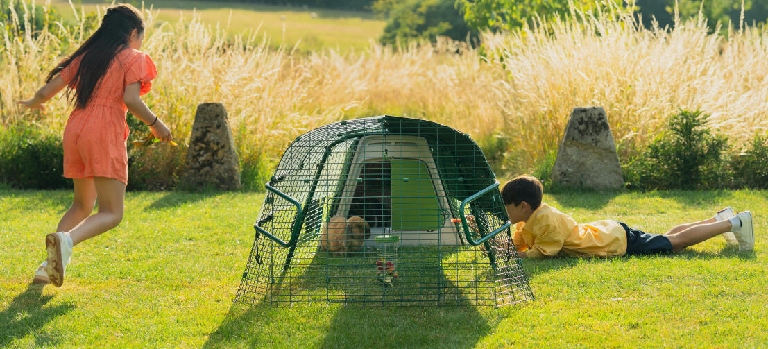 Kinder spielen im garten und interagieren mit ihrem kaninchen durch das netz des auslaufs.