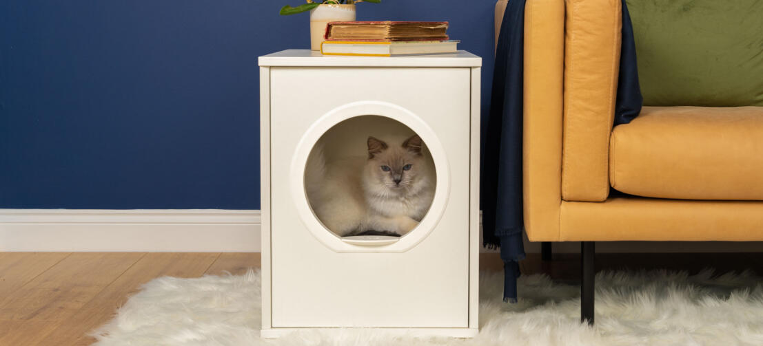 Süße weiße flauschige katze sitzt in Maya indoor-katzenhaus neben dem sofa
